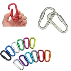 D-Shape  Carabiner Keychain With Screw Lock