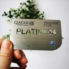 Die Cut Metal Card (3.5" x 2")