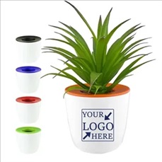 Eco Friendly Mini Plastic Plant Pot