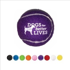 Pet Training Fetch Ball