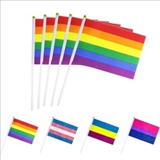 Small Rainbow Hand Flags